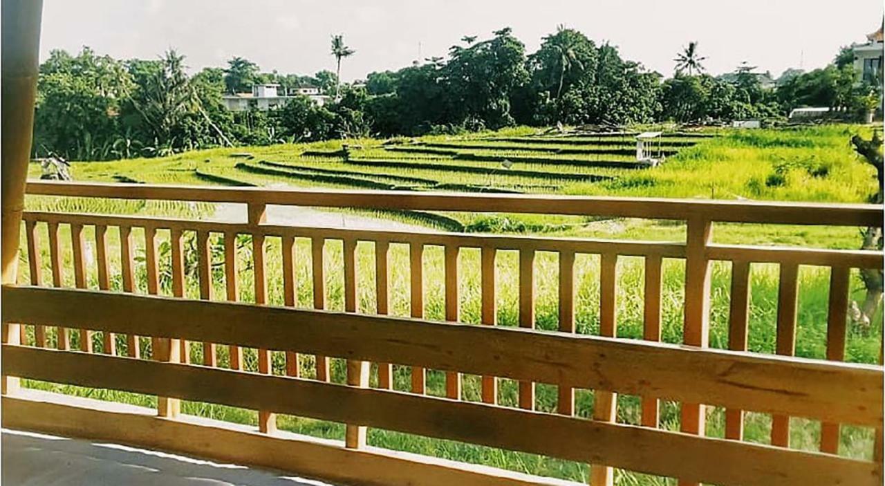 Castaway Hostel 캉구 외부 사진